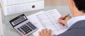 responsibilities of an accountant based on materials from a budgetary institution